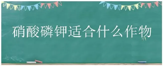 硝酸磷钾适合什么作物 | 三农答疑