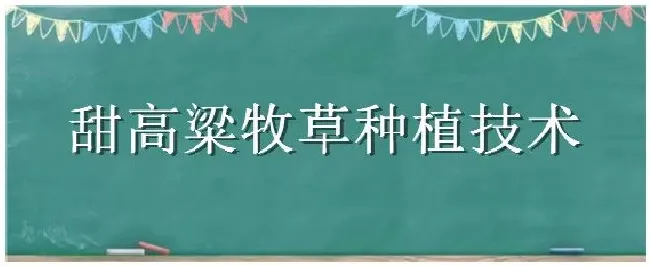 甜高粱牧草种植技术 | 科普知识