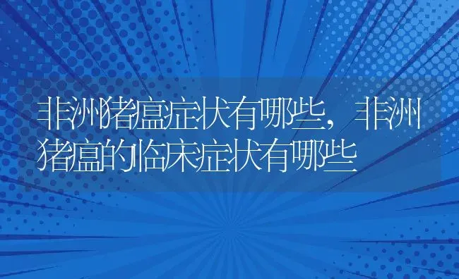 非洲猪瘟症状有哪些,非洲猪瘟的临床症状有哪些 | 养殖常见问题