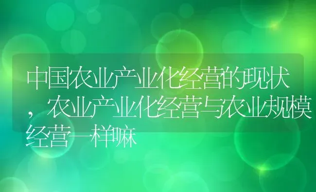 中国农业产业化经营的现状,农业产业化经营与农业规模经营一样嘛 | 养殖常见问题