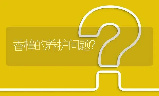 香樟的养护问题? | 养殖问题解答