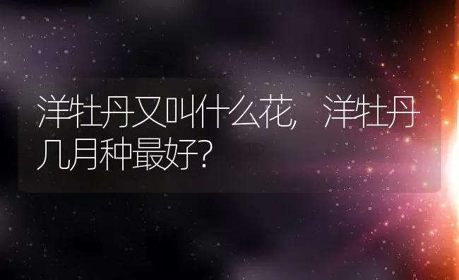 洋牡丹又叫什么花,洋牡丹几月种最好？ | 养殖常见问题