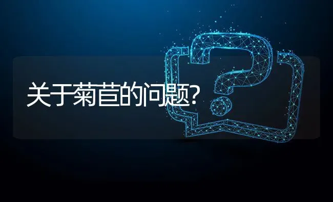 关于菊苣的问题? | 养殖问题解答