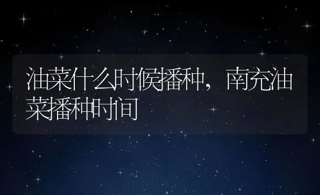 油菜什么时候播种,南充油菜播种时间 | 养殖常见问题
