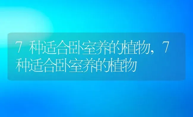 7种适合卧室养的植物,7种适合卧室养的植物 | 养殖常见问题