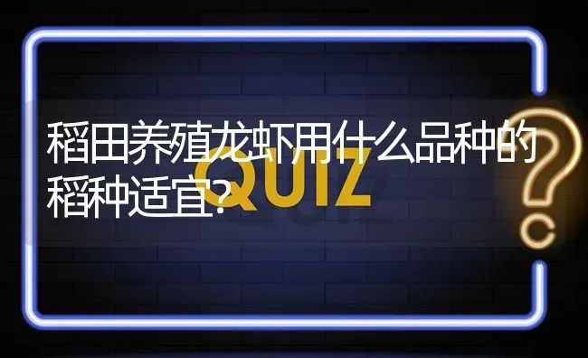 稻田养殖龙虾用什么品种的稻种适宜? | 养殖问题解答