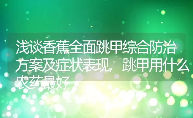 浅谈香蕉全面跳甲综合防治方案及症状表现,跳甲用什么农药最好 | 养殖常见问题