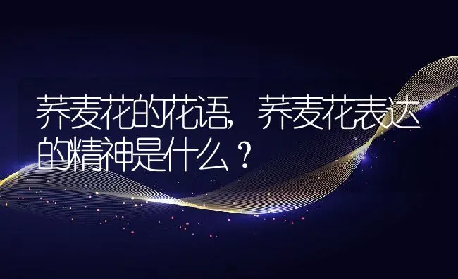 荞麦花的花语,荞麦花表达的精神是什么？ | 养殖常见问题