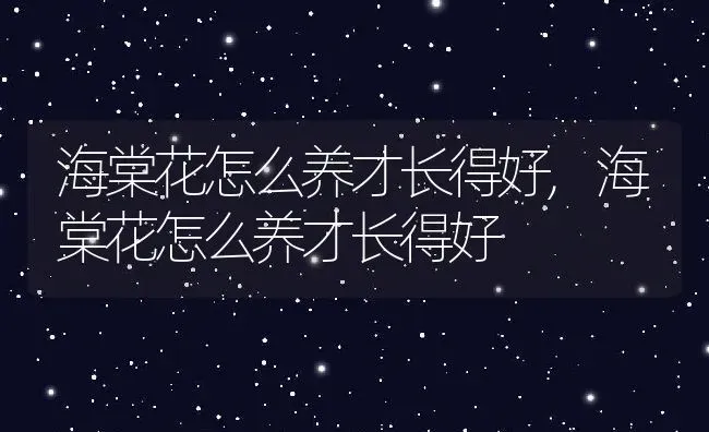 海棠花怎么养才长得好,海棠花怎么养才长得好 | 养殖常见问题