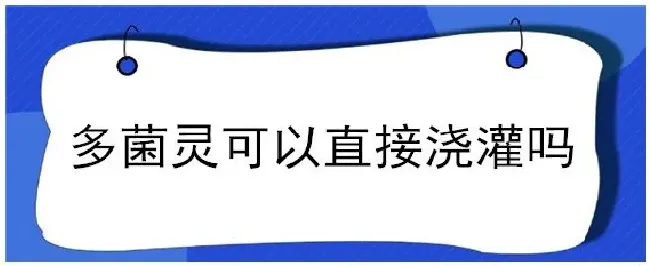 多菌灵可以直接浇灌吗 | 农业问题