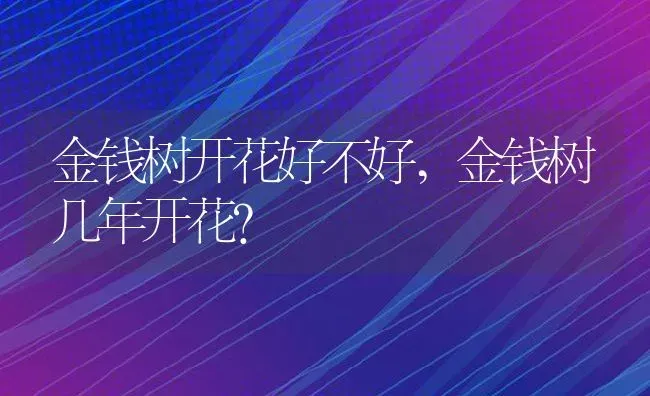 金钱树开花好不好,金钱树几年开花？ | 养殖常见问题
