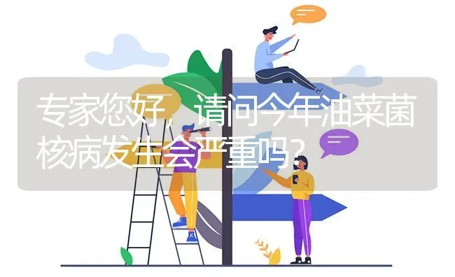 专家您好,请问今年油菜菌核病发生会严重吗? | 养殖问题解答