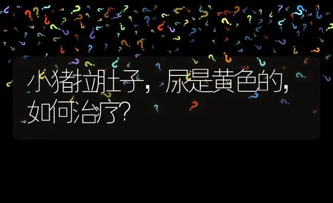 小猪拉肚子,尿是黄色的,如何治疗? | 养殖问题解答