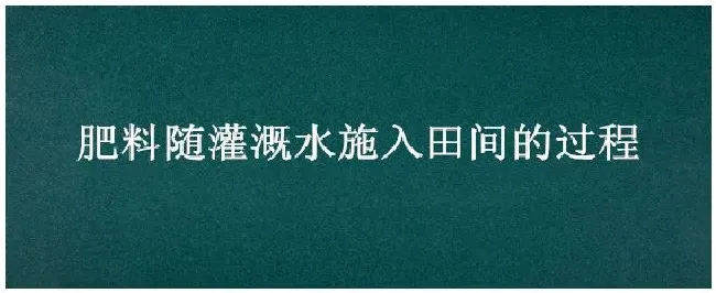 肥料随灌溉水施入田间的过程 | 三农答疑