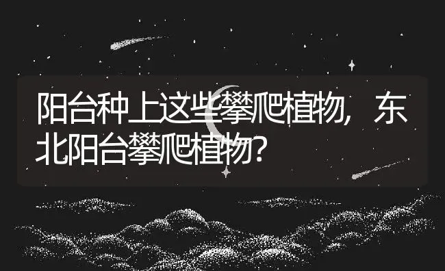 阳台种上这些攀爬植物,东北阳台攀爬植物？ | 养殖常见问题