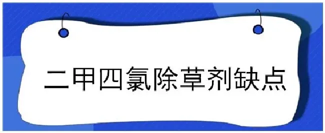 二甲四氯除草剂缺点 | 农业常识