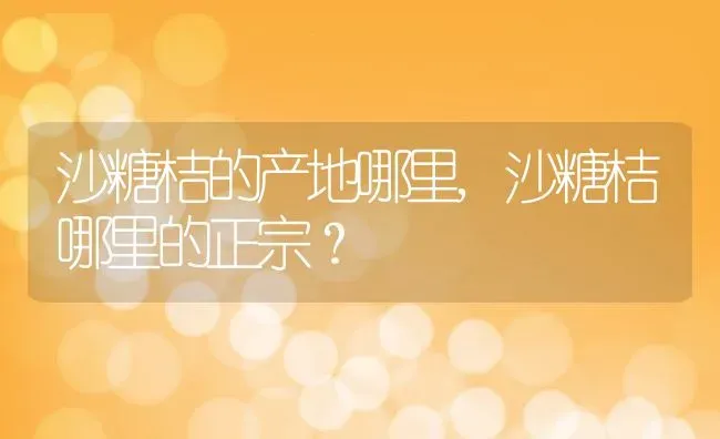 沙糖桔的产地哪里,沙糖桔哪里的正宗？ | 养殖常见问题