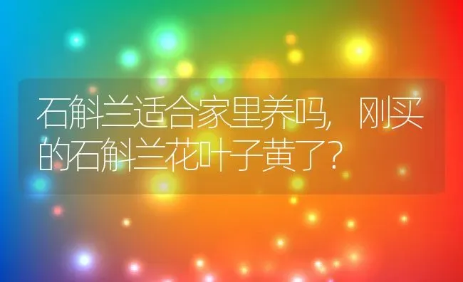 石斛兰适合家里养吗,刚买的石斛兰花叶子黄了？ | 养殖常见问题