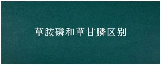 草胺磷和草甘膦区别 | 生活常识