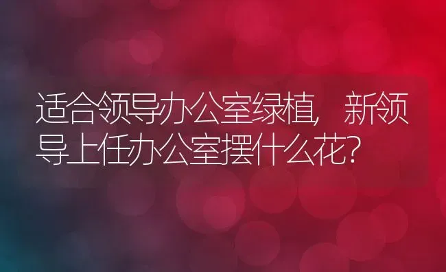 适合领导办公室绿植,新领导上任办公室摆什么花？ | 养殖常见问题