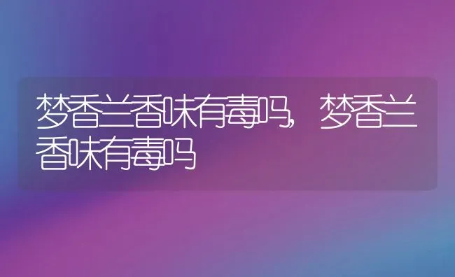 梦香兰香味有毒吗,梦香兰香味有毒吗 | 养殖常见问题