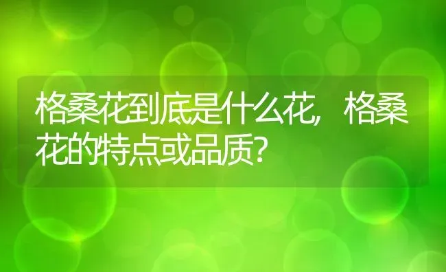 格桑花到底是什么花,格桑花的特点或品质？ | 养殖常见问题