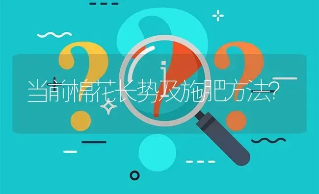 当前棉花长势及施肥方法? | 养殖问题解答