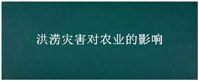 洪涝灾害对农业的影响 | 农业常识