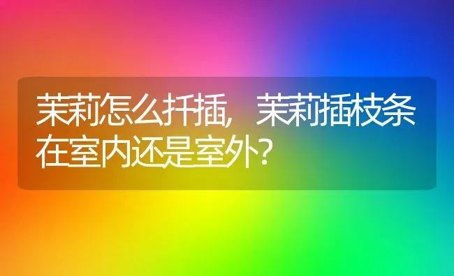 茉莉怎么扦插,茉莉插枝条在室内还是室外？ | 养殖常见问题