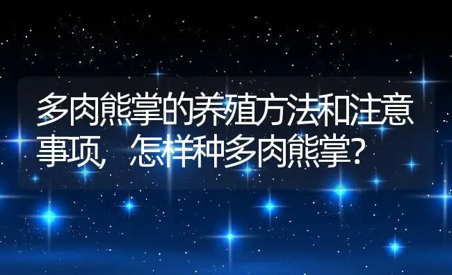 多肉熊掌的养殖方法和注意事项,怎样种多肉熊掌？ | 养殖常见问题