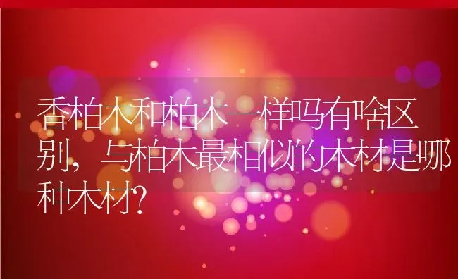 香柏木和柏木一样吗有啥区别,与柏木最相似的木材是哪种木材？ | 养殖常见问题