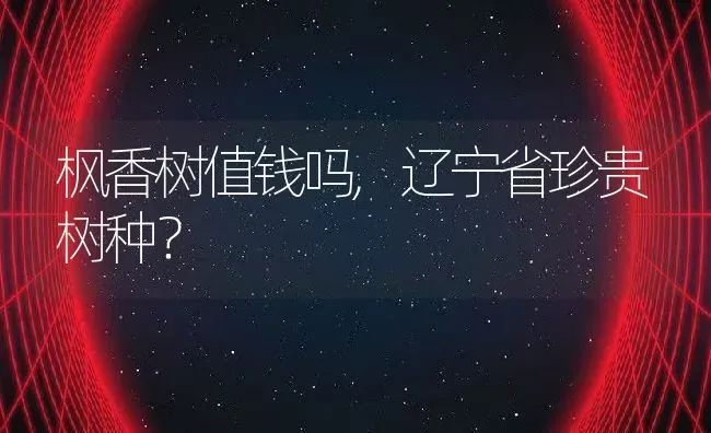 枫香树值钱吗,辽宁省珍贵树种？ | 养殖常见问题