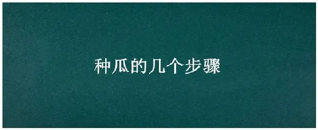 种瓜的几个步骤 | 科普知识