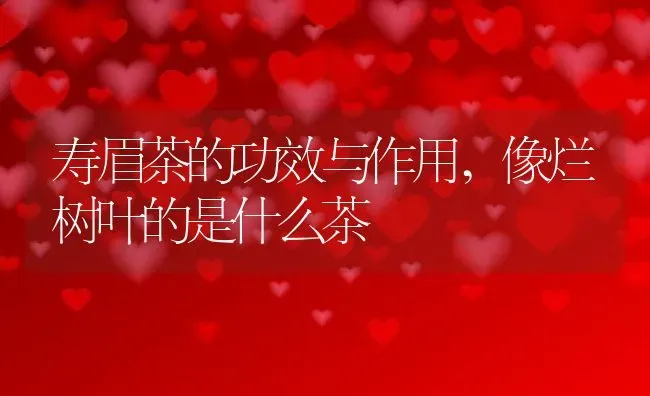 寿眉茶的功效与作用,像烂树叶的是什么茶 | 养殖常见问题