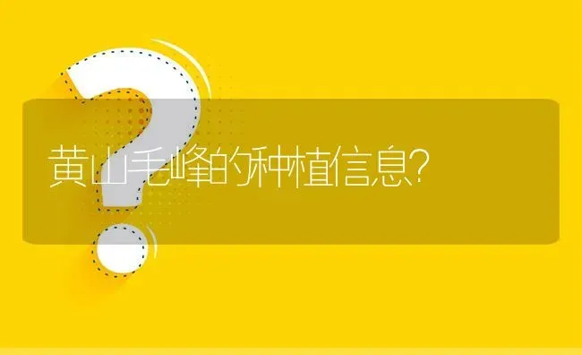 黄山毛峰的种植信息? | 养殖问题解答