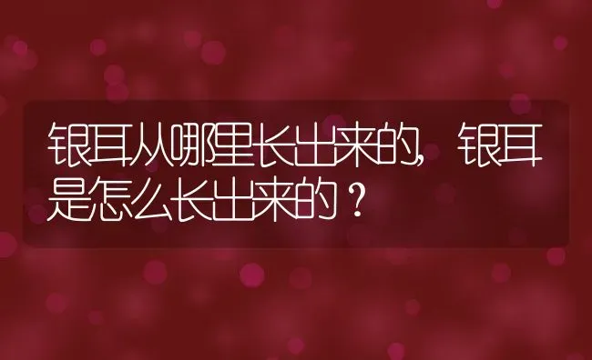 银耳从哪里长出来的,银耳是怎么长出来的？ | 养殖常见问题