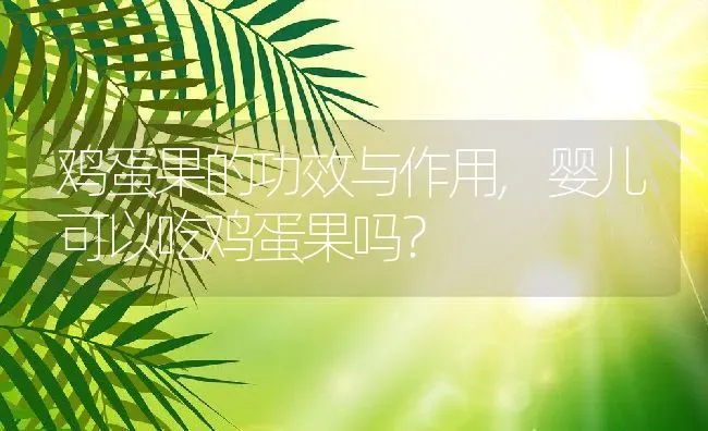 鸡蛋果的功效与作用,婴儿可以吃鸡蛋果吗？ | 养殖常见问题