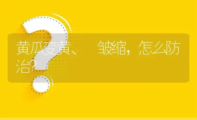 黄瓜变黄、 皱缩,怎么防治? | 养殖问题解答