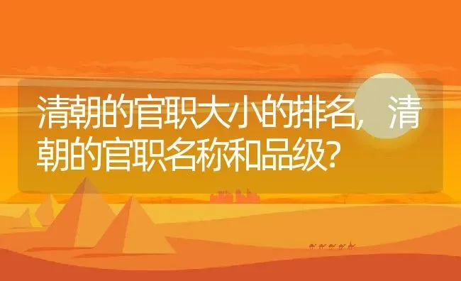 幸福树掉叶子是怎么回事，耐寒多少度,幸福树长的小叶子很淡？ | 养殖常见问题