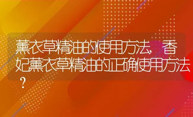 薰衣草精油的使用方法,香妃薰衣草精油的正确使用方法？ | 养殖常见问题