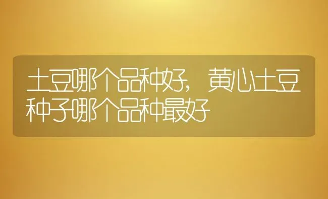 三七有多少品种,三七有几个品种图片？ | 养殖常见问题