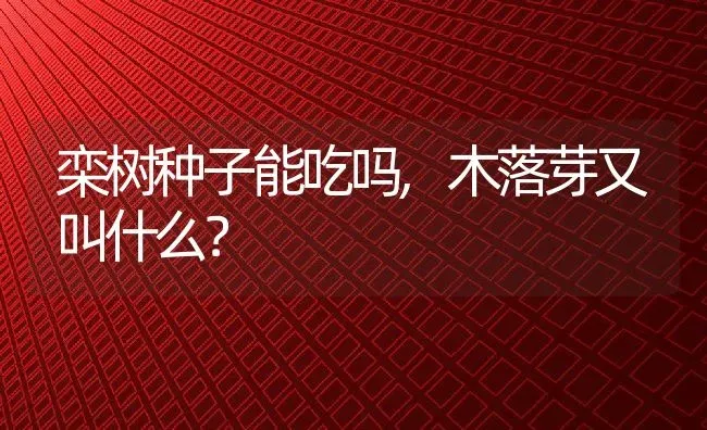 栾树种子能吃吗,木落芽又叫什么？ | 养殖常见问题