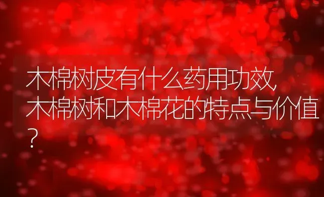 木棉树皮有什么药用功效,木棉树和木棉花的特点与价值？ | 养殖常见问题