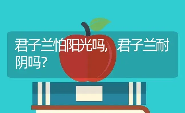 君子兰怕阳光吗,君子兰耐阴吗？ | 养殖常见问题