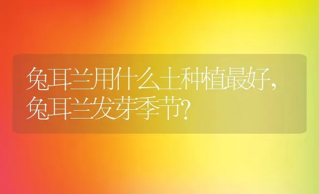 兔耳兰用什么土种植最好,兔耳兰发芽季节？ | 养殖常见问题