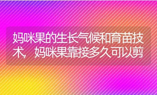 妈咪果的生长气候和育苗技术,妈咪果靠接多久可以剪 | 养殖常见问题