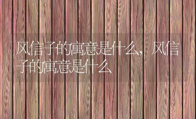 风信子的寓意是什么,风信子的寓意是什么 | 养殖常见问题