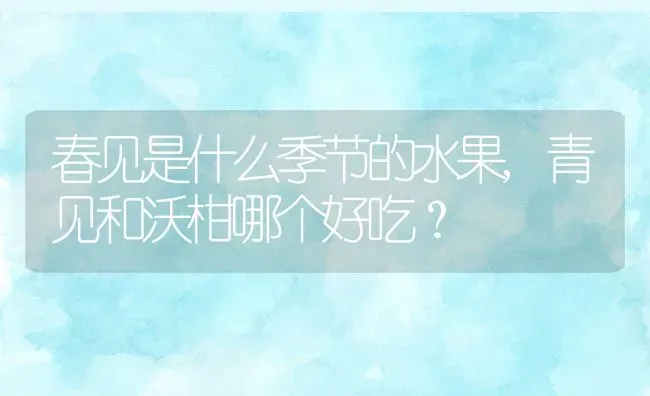 春见是什么季节的水果,青见和沃柑哪个好吃？ | 养殖常见问题