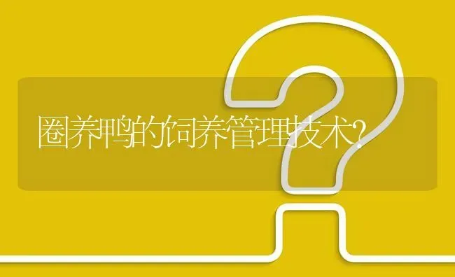 圈养鸭的饲养管理技术? | 养殖问题解答