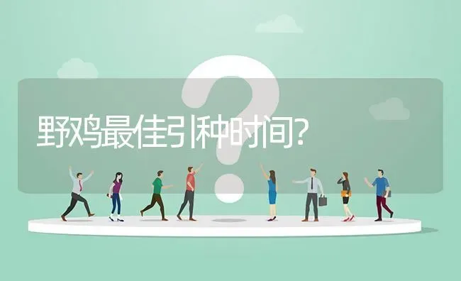 野鸡最佳引种时间? | 养殖问题解答